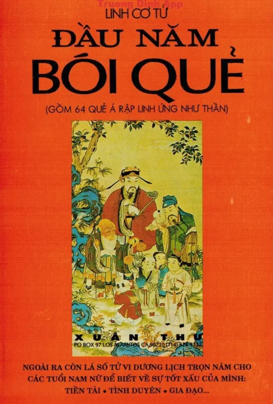 dau nam boi que linh co tu 540x800 1
