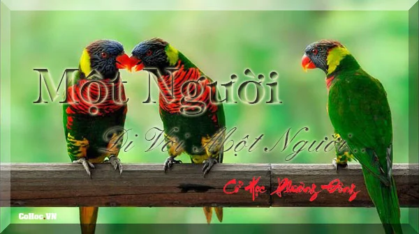 cach hoa giai tinh duyen lan dan phong thuy 1