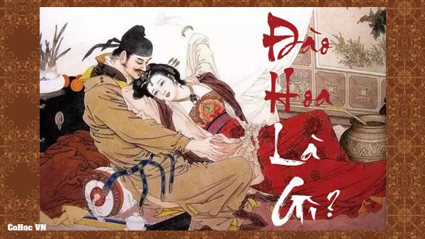 dao hoa la gi 1